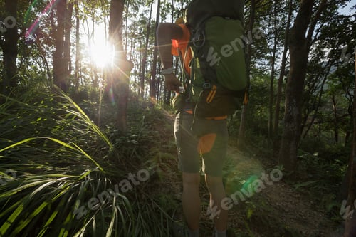 Preview: Woman hiker hiking in summer sunrise forest mountain