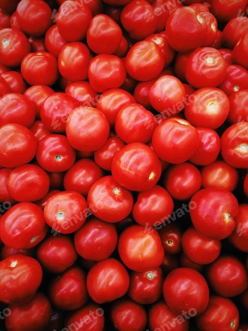 Preview: Red shining tomatoes