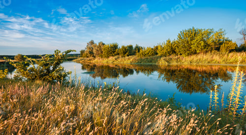 Preview: Beautiful landscape of silent lake near forest.
