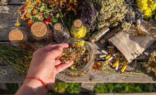 Visualização: Ervas medicinais nas mãos. Foco seletivo
.