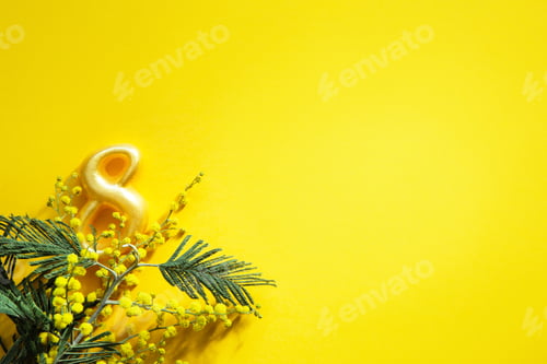 Preview: A bouquet of mimosa and the number 8 on a yellow background with copyspace is a greeting card for th