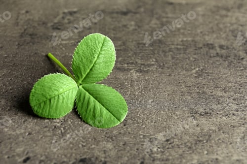 Preview: Green clover leaf on gray background with space for text