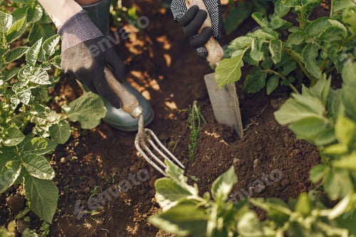 Preview: Woman in a hat working in a garden