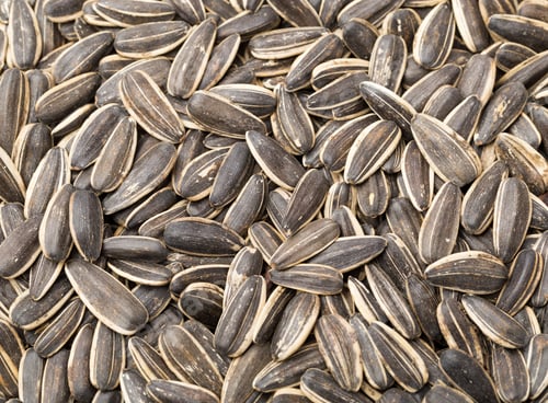 Preview: Sunflower seed