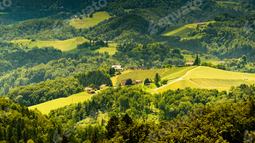 Preview: Austria, Slovenia Vineyards Sulztal Herzerl Straße