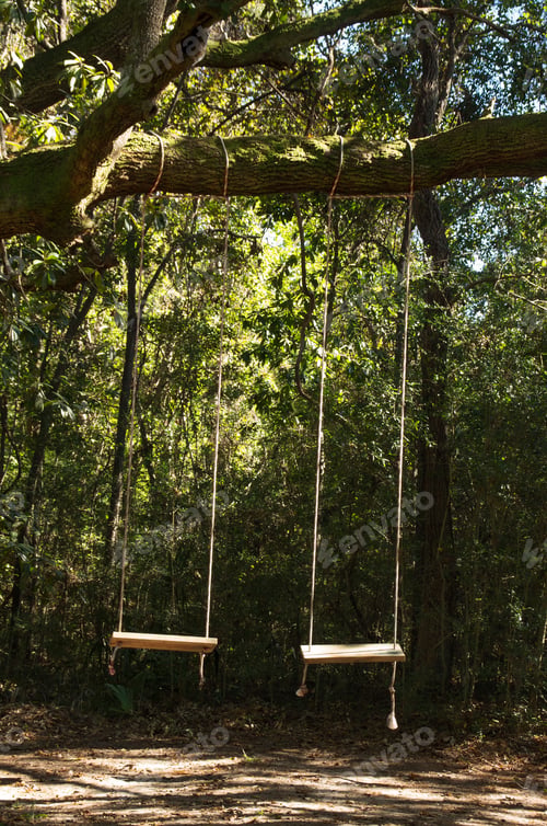 Preview: Vertical shot of two swings hanging from a tree along a trail in a campground in Charleston, USA