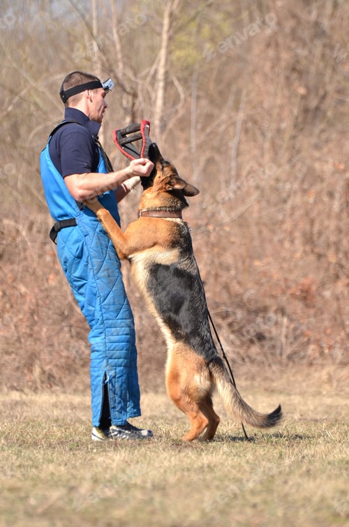Preview: Police Dog Training