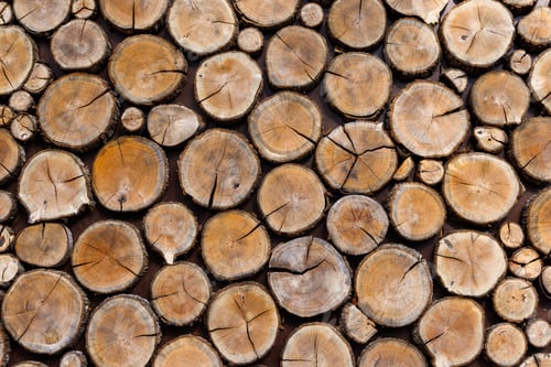 Preview: Background of round dry wooden cuts