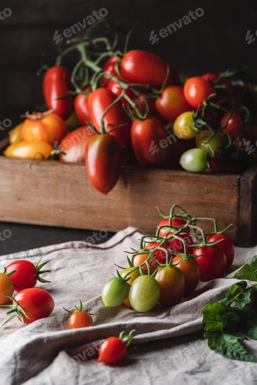Preview: Mix colorful tomatoes
