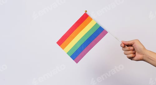 Preview: Hand is hold pride flag on white background