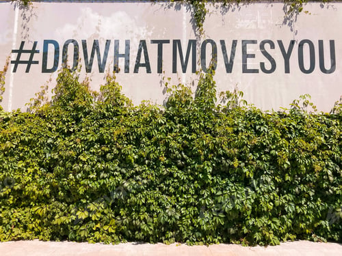 Preview: Do what moves you