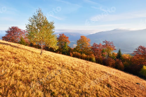 Preview: Autumn in mountain, amazing landscape