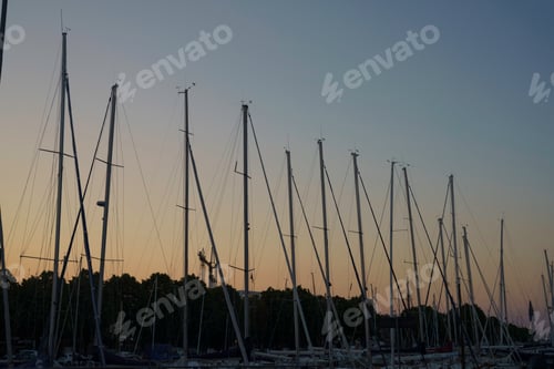 Preview: Rimini: the harbor by night