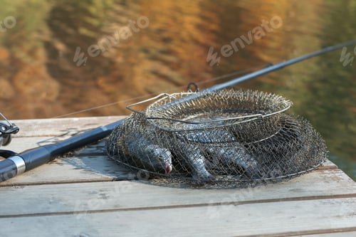 Preview: Fishing rod and fresh fish on wooden pier near pond