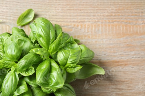 Preview: Fresh basil on wooden table, top view. Space for text