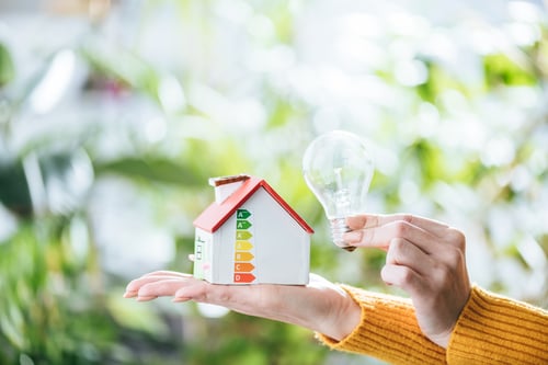 cropped view of woman holding led lamp and carton house, energy efficiency at home concept cropped view of woman holding led lamp and carton house, energy efficiency at home concept