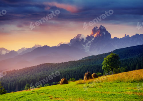 Preview: Alps mountain meadow tranquil summer view