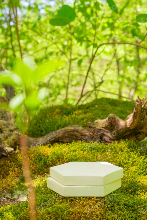 Preview: Stage, podium or pedestal for products placed on lush green moss in serene forest