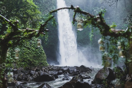 Preview: Tropical wedding ceremony with waterfall view in jungle canyon. Decorated with green ivy