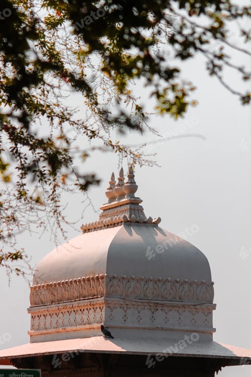 Preview: Ornate Dome Structure Seen Through Tree Branches