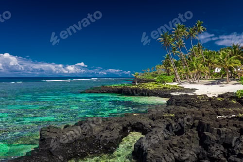 Preview: Coral reef on Upolu, Samoa Islands.