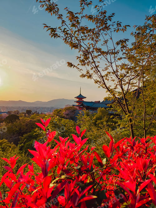 Preview: Red Flowers In The Foreground with Red Pagoda View