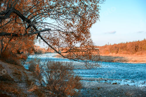 Preview: Beautiful autumn landscape with yellow trees and sun