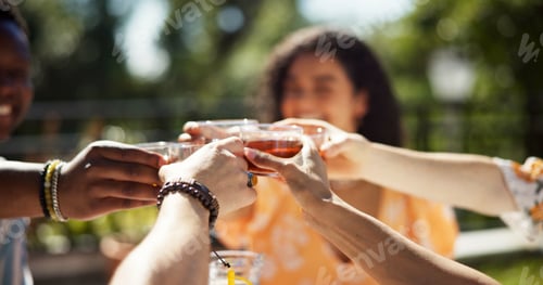 Preview: Cheers, drinks and friends in garden for celebration, summer vacation or new years lunch. Party, bo