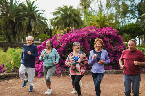 Preview: Group of fit senior people running together at city park