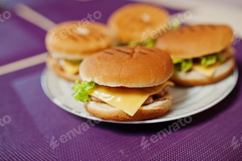Preview: Delicious Burgers Served on a Plate