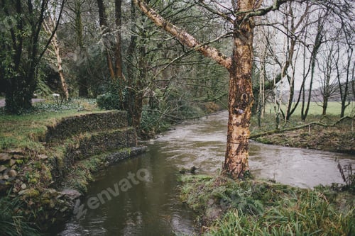 Preview: Blarney Castle grounds