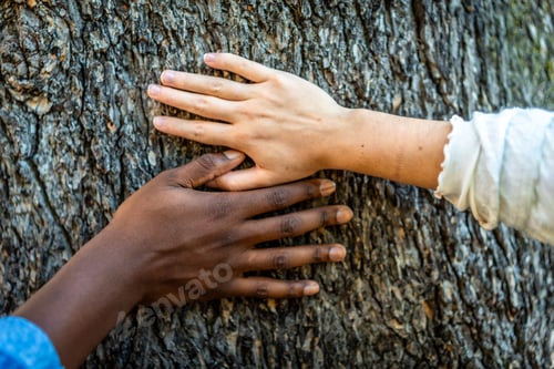 Preview: Close-up of mixed- raced hands on a tree