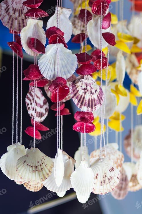 Preview: decoration of colorful shells