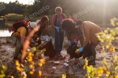 Preview: Volunteers cleaning up litter in nature at sunset