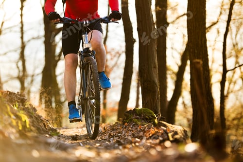 Preview: Mountain biker