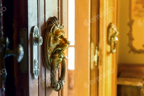 Preview: Wooden doors