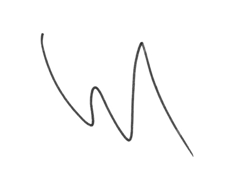 Preview: marker lines isolated brush stroke mark hand draw scribble