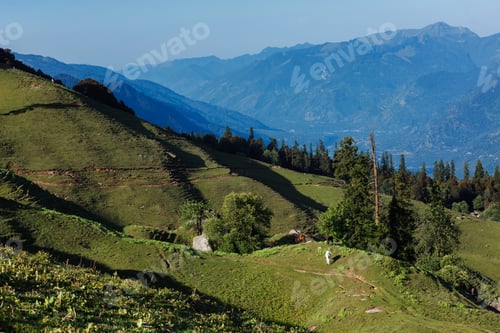 Preview: Horses grazing in Himalayas mountains