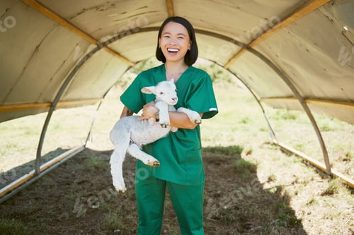 Preview: Woman, veterinary or little lamb on countryside farm, sustainability agriculture or agriculture far