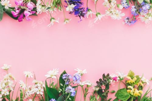 Preview: Wildflowers colorful frame on pink paper background, flat lay with space for text