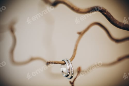 Preview: Stylish silver wedding rings on simple wooden branch