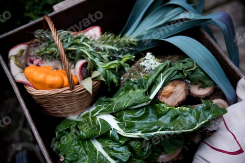 Preview: Crate of freshly picked spring greens and squash vegetable in garden