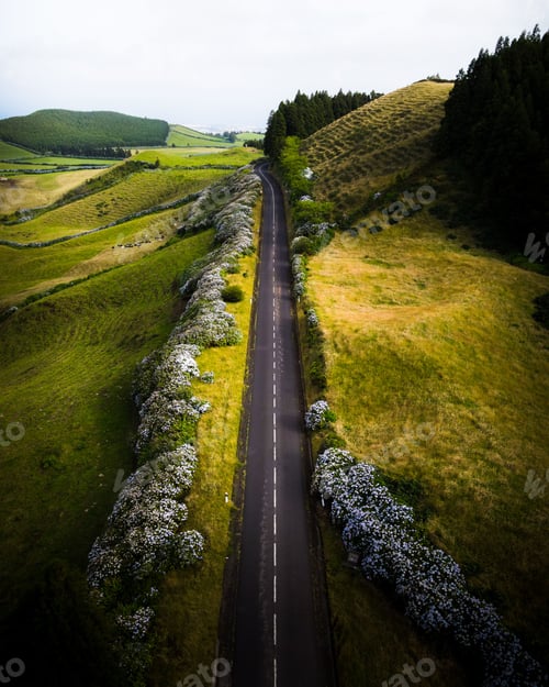 Preview: Vertical drone shot of an asphalt road passing through a green area under the bright sunlight
