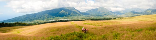 Preview: Panoramic Photo of the Final Leg of the Three Day Mount Rinjani Trek, Lombok, Indonesia, Asia