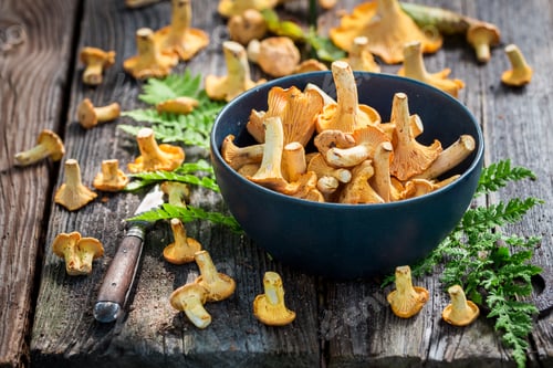 Vista previa: Closeup of healthy wild chanterelle mushrooms on old rustic table