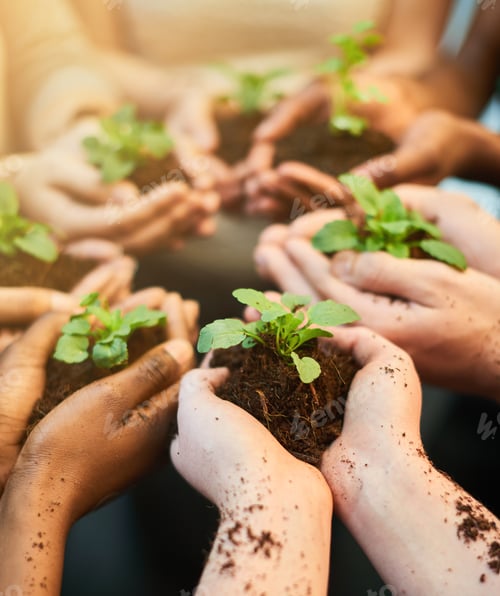 Preview: Fostering the future together. Shot of a group of people each holding a plant growing in soil.