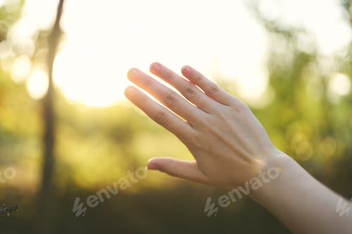 Preview: Female hand nature lifestyle summer travel vacation