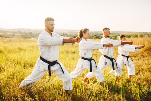 Preview: Karate group with master in white kimono