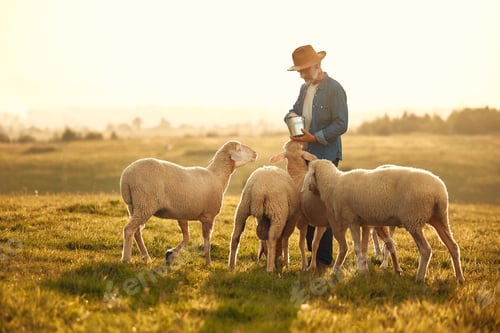 Preview: Mature couple working on the farm