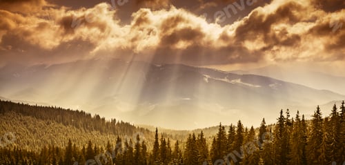 Preview: Amazing evening winter landscape